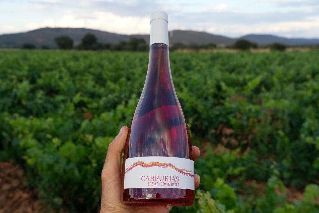 Carpurias rosado en viñedos