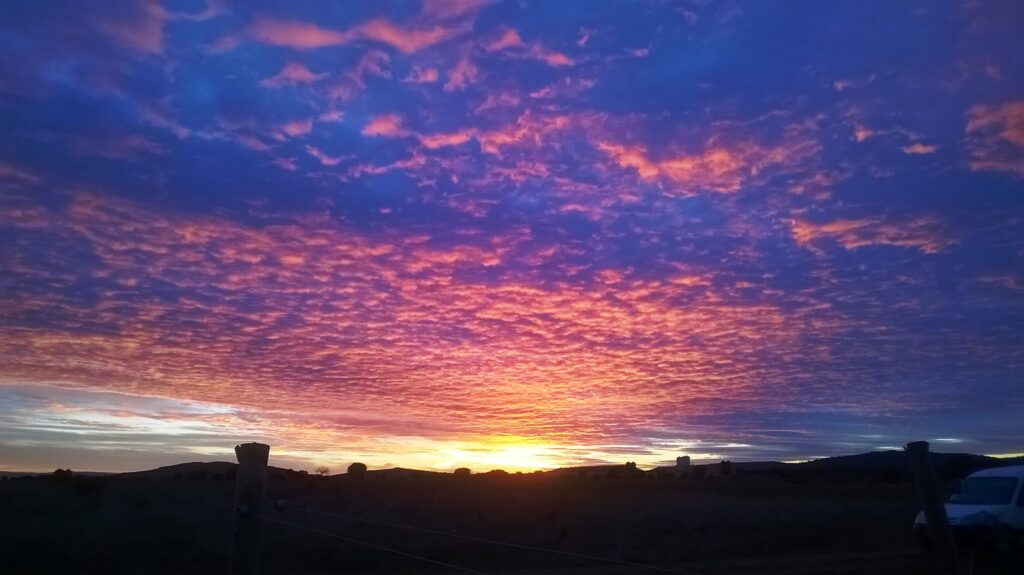 atardecer sobre el viñedo enero